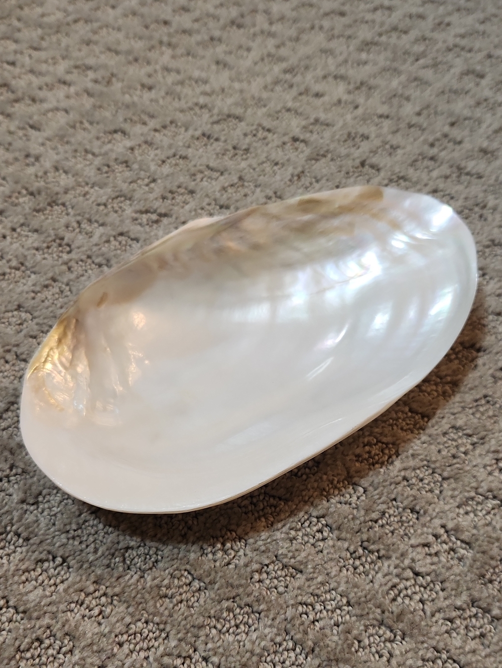 Shell Decor Iridescent Mother-of-Pearl Decorative Bowl Creamy White Iridescence